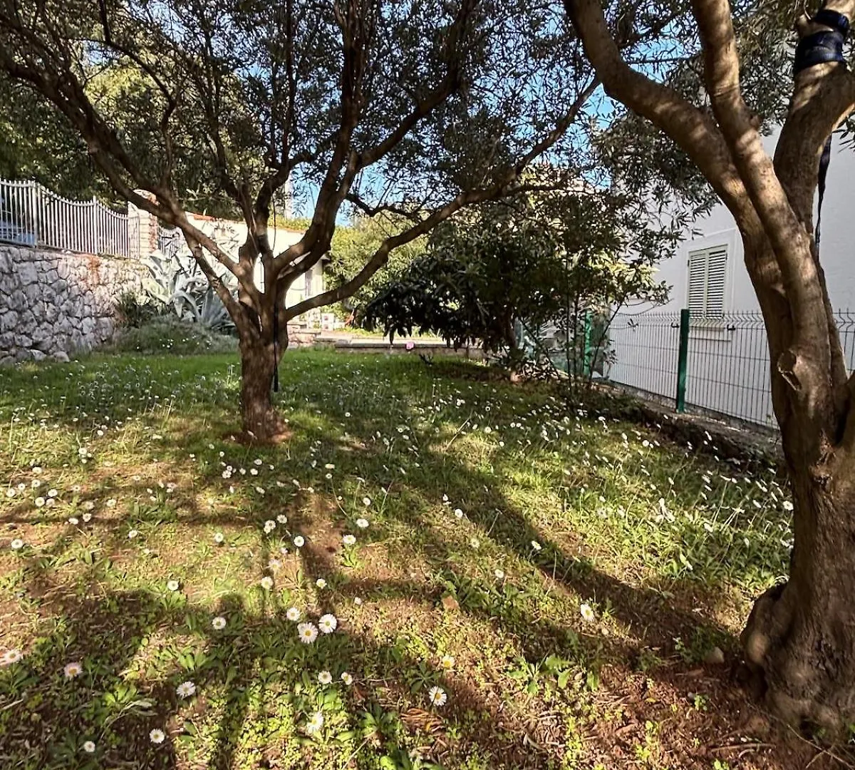 Island Home Green Escape Cres Porozina