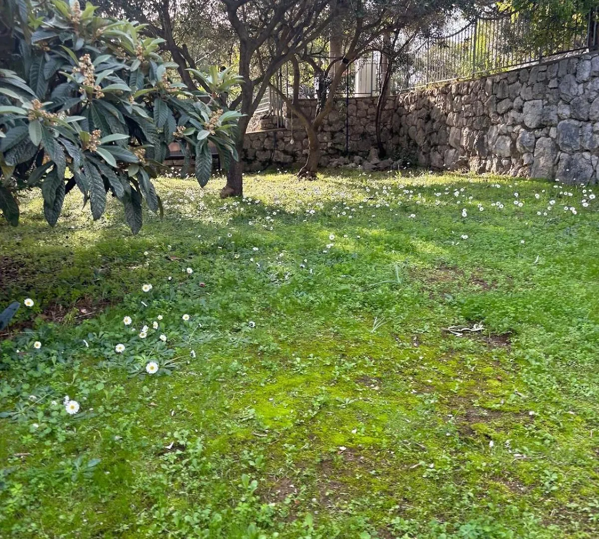 Island Home Green Escape Cres Porozina